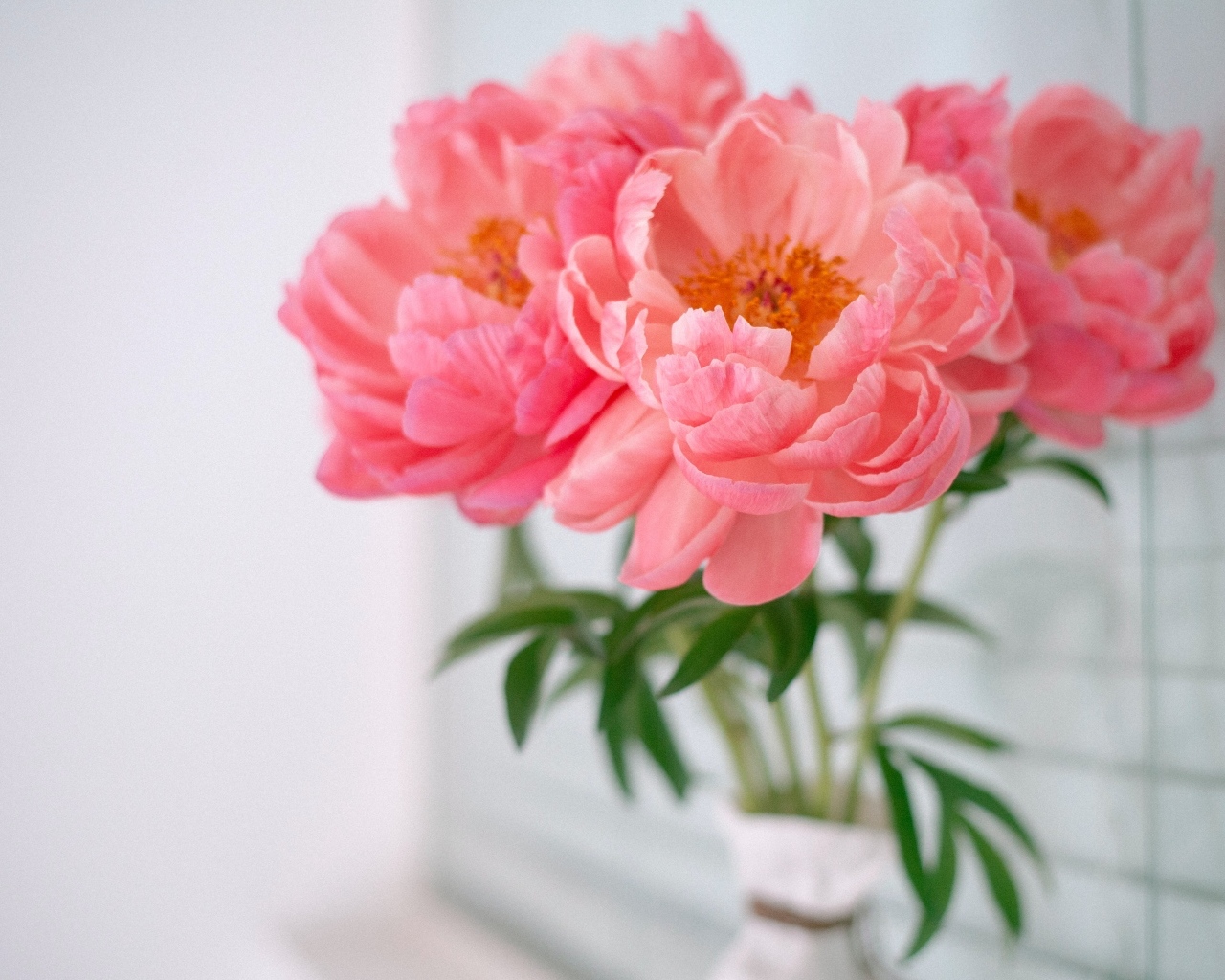Букет розовых пионов в вазе у стены