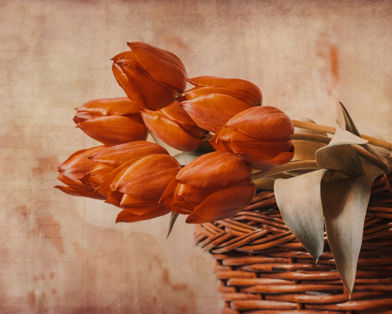 Букет красных тюльпанов в корзине на столе