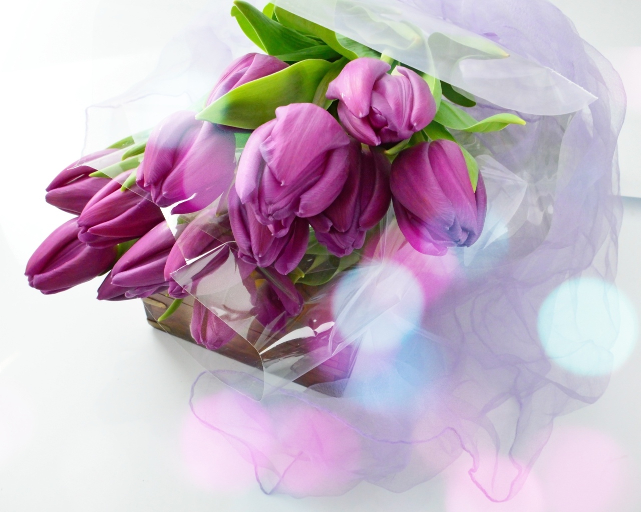 Букет тюльпанов с подарком на белом фоне