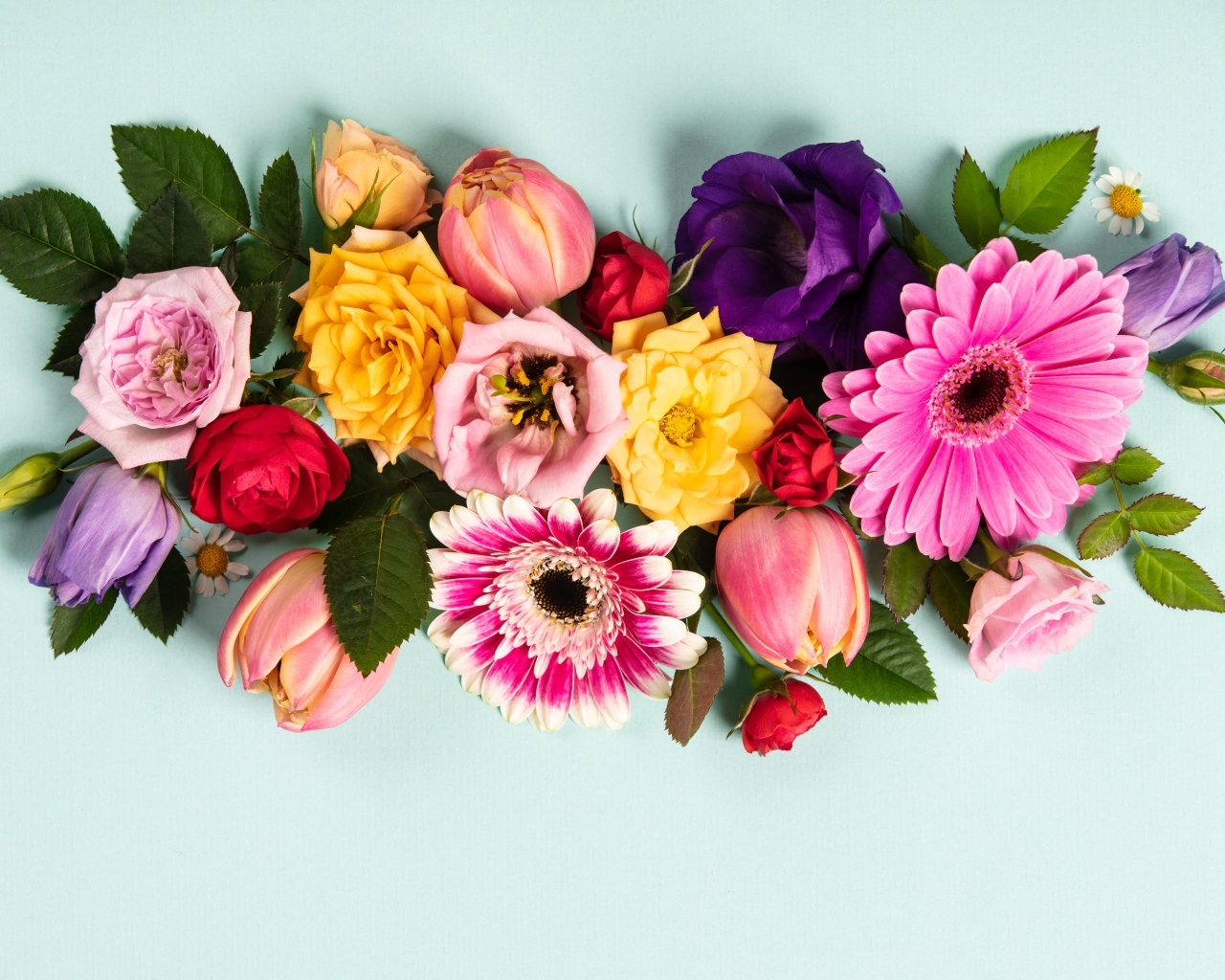 Композиция из разных цветов на сером фоне