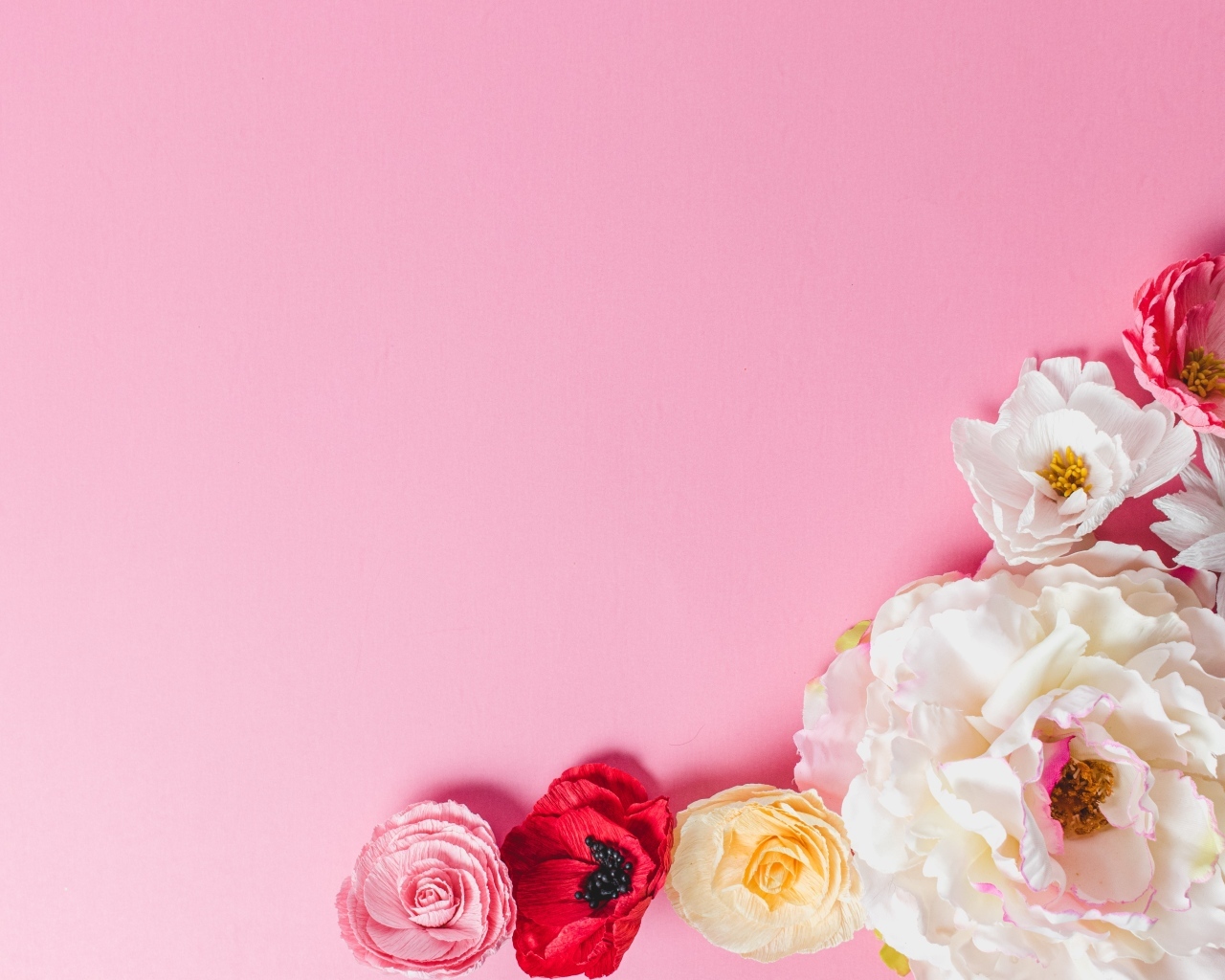 Нежные сорванные цветы на розовом фоне