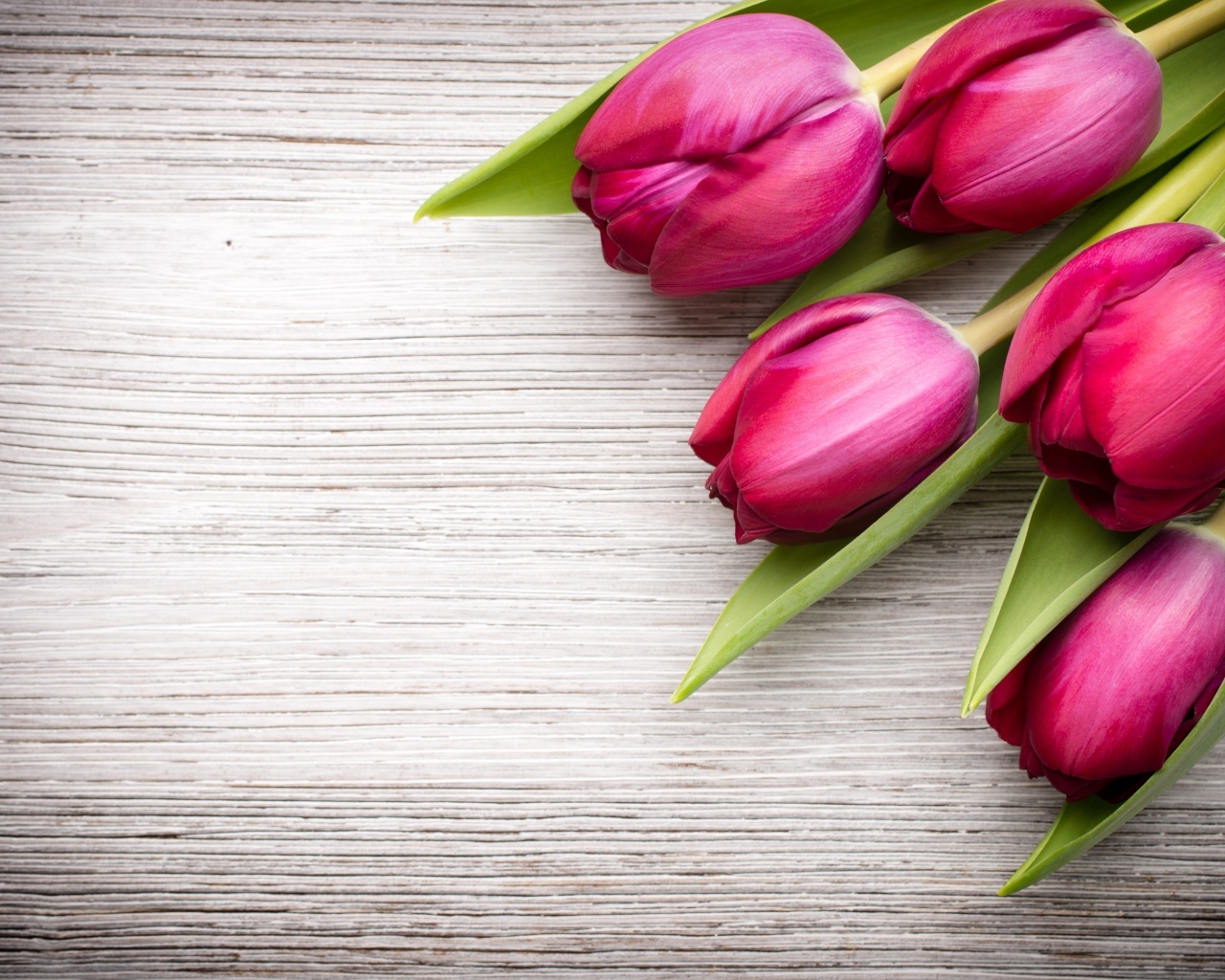 Пять розовых тюльпанов на деревянном фоне