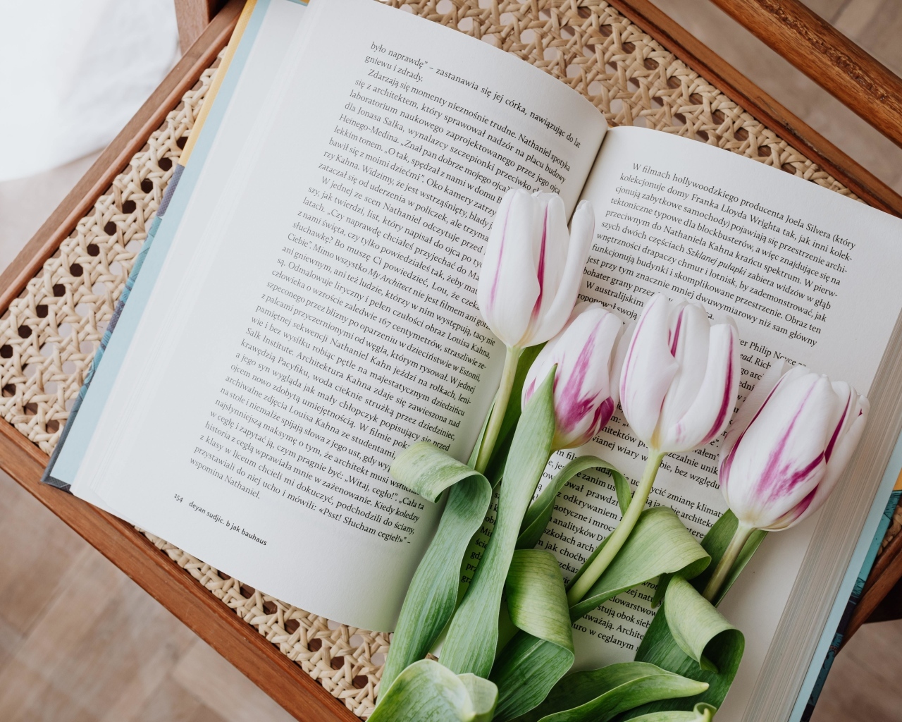 Свежие тюльпаны лежат на книге