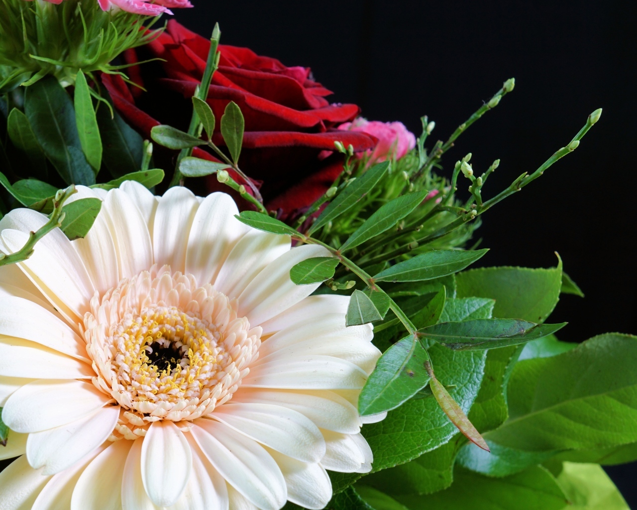 Цветок герберы в букете с красными розами