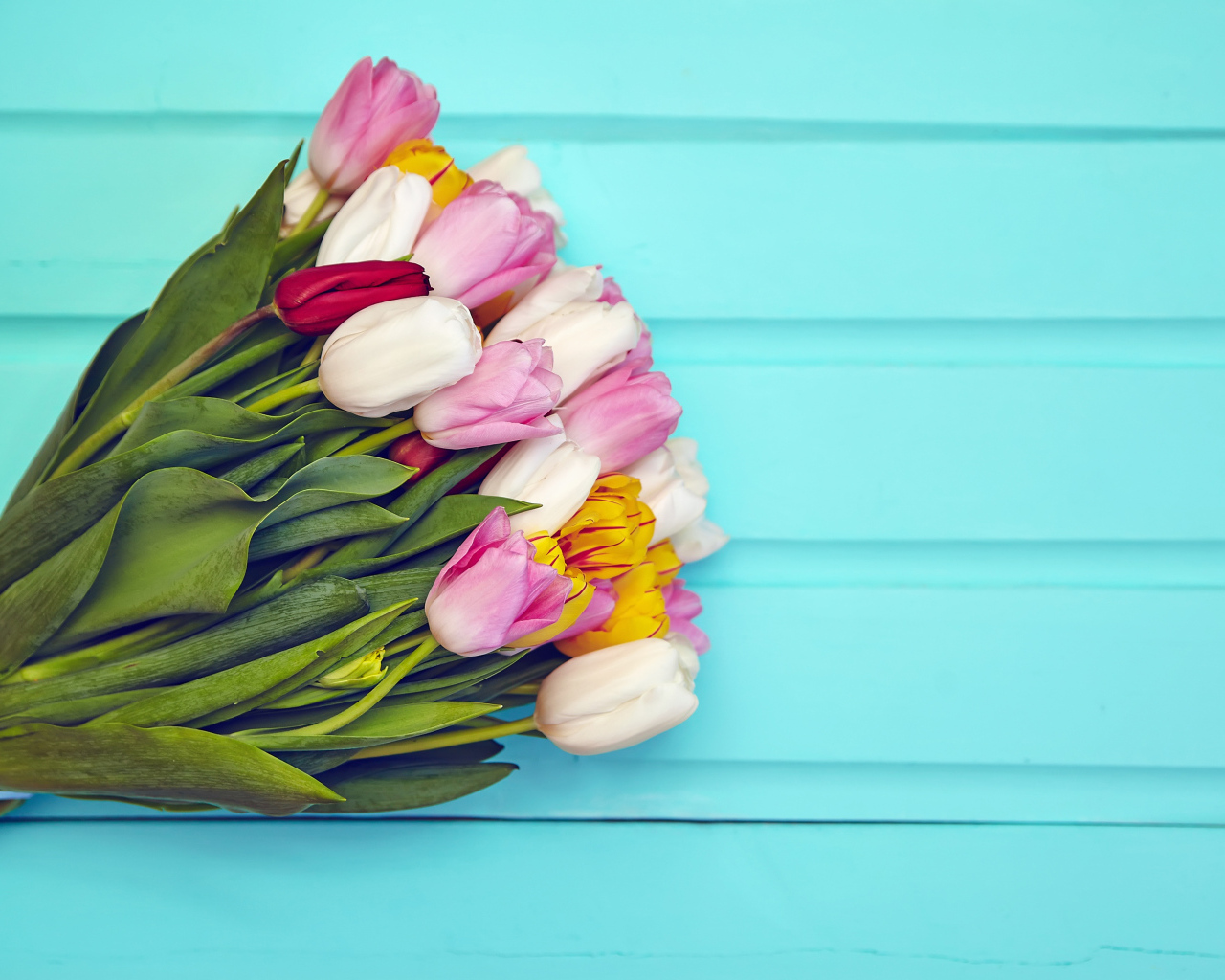 Большой букет разноцветных тюльпанов на голубом фоне