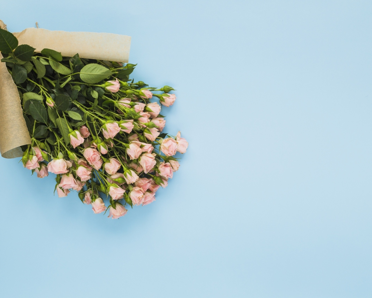 Большой букет розовых роз на голубом фоне