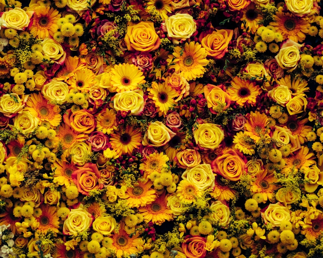 Много разных оранжевых цветов для фона