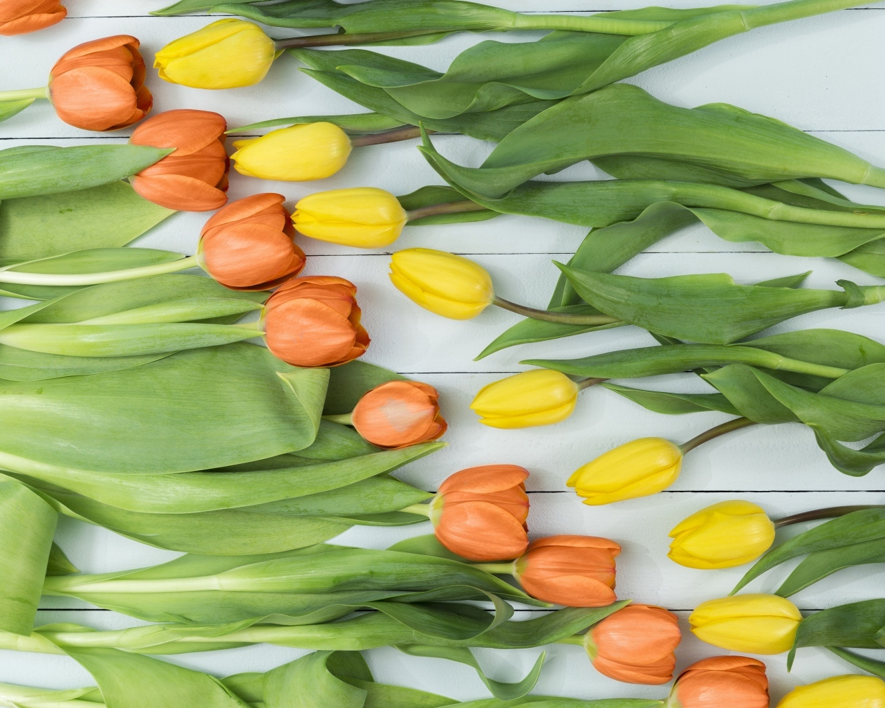 Оранжевые и желтые тюльпаны на столе
