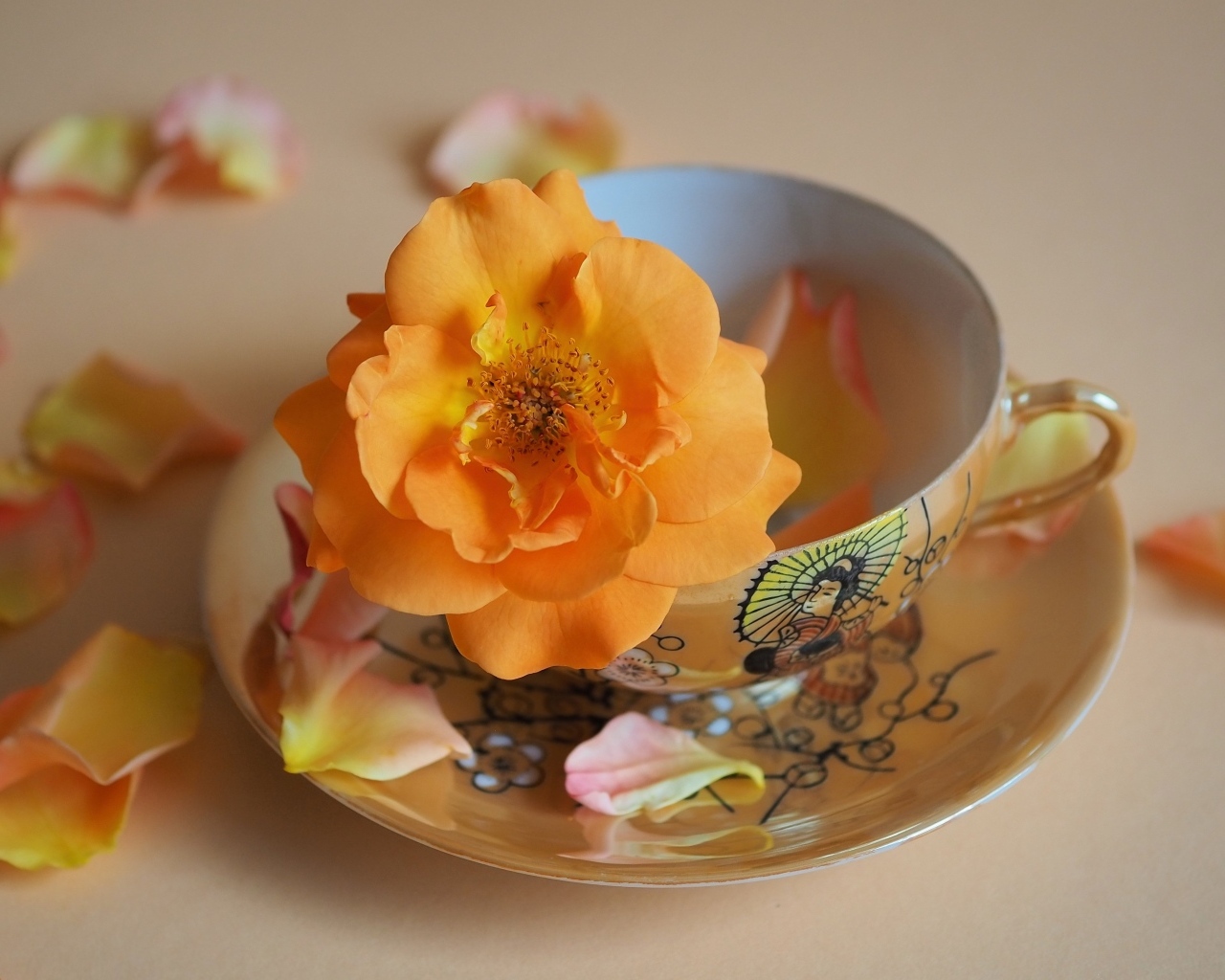 Оранжевый цветок розы в чашке на столе