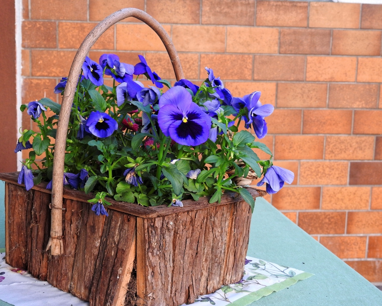 Цветы анютины глазки в декоративной корзине