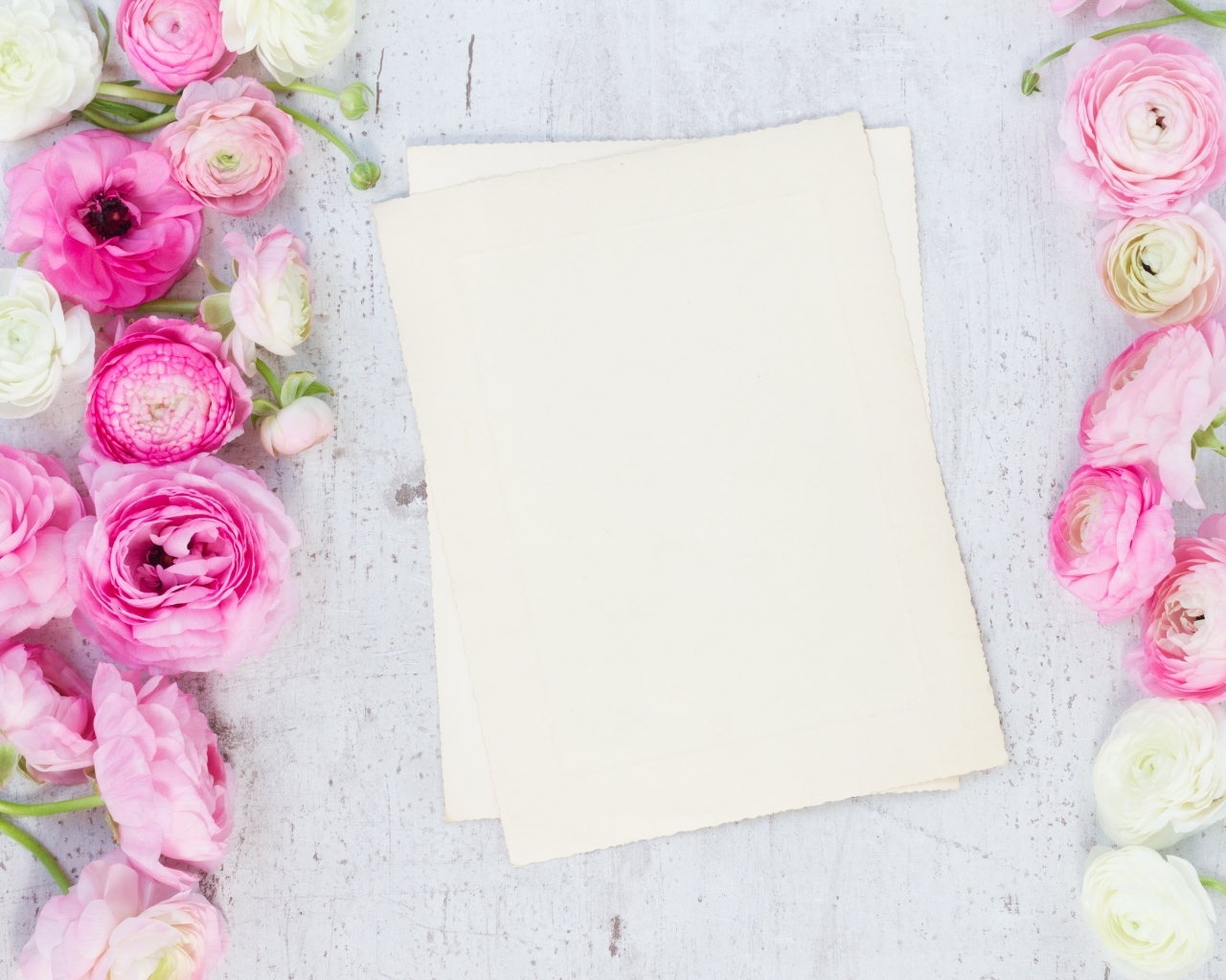 Розовые лютики с белыми листами на сером столе