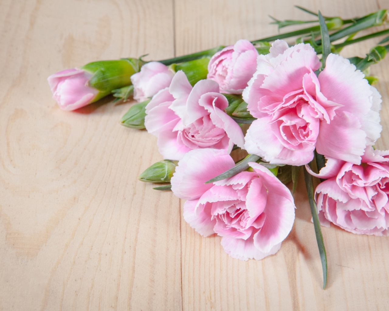 Розовые гвоздики на столе