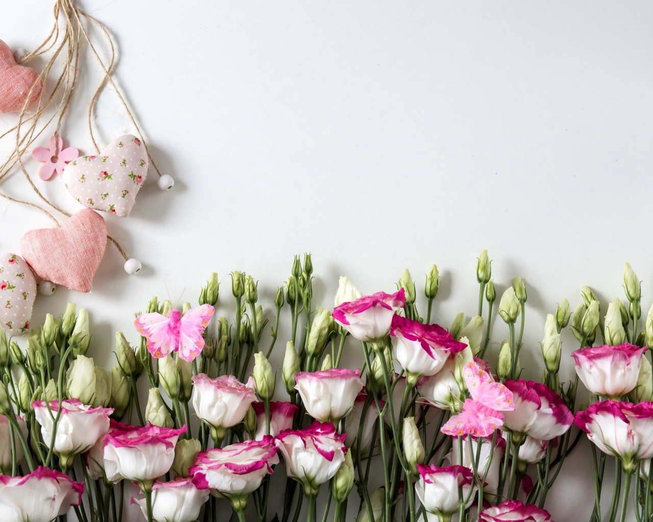 Розовые цветы эустомы с сердечками на сером фоне