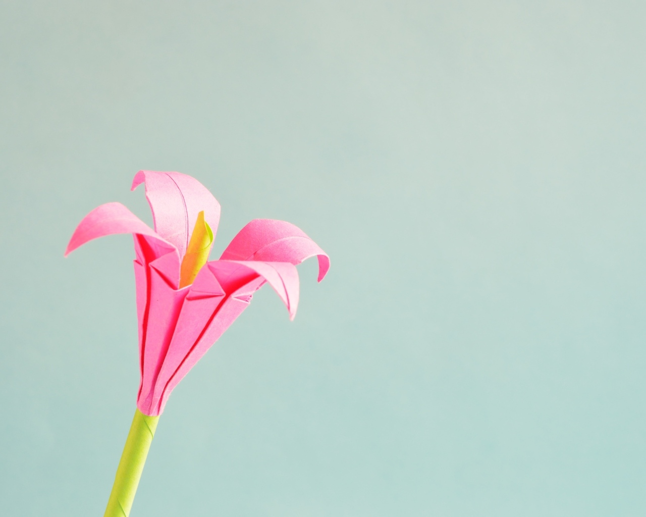 Розовый бумажный цветок на сером фоне