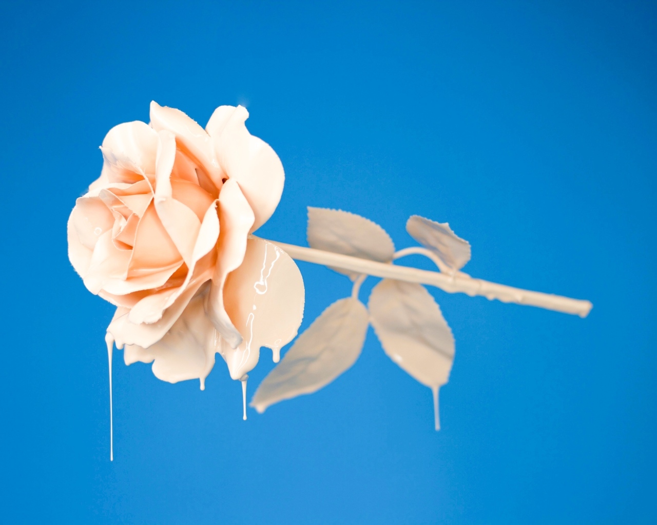 Розовая роза в краске на голубом фоне