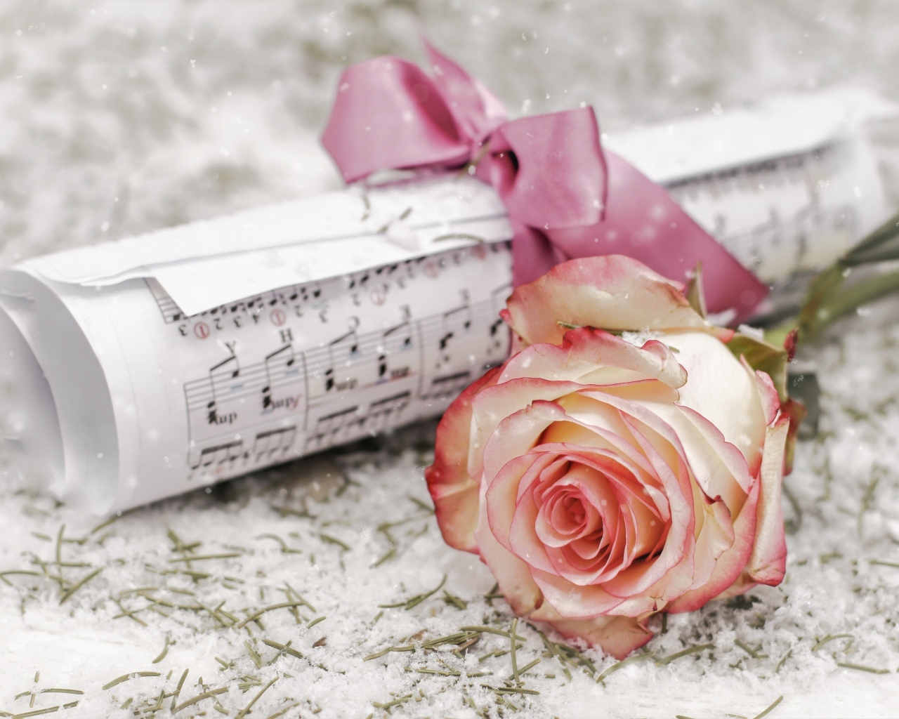 Розовая роза с нотами на снегу