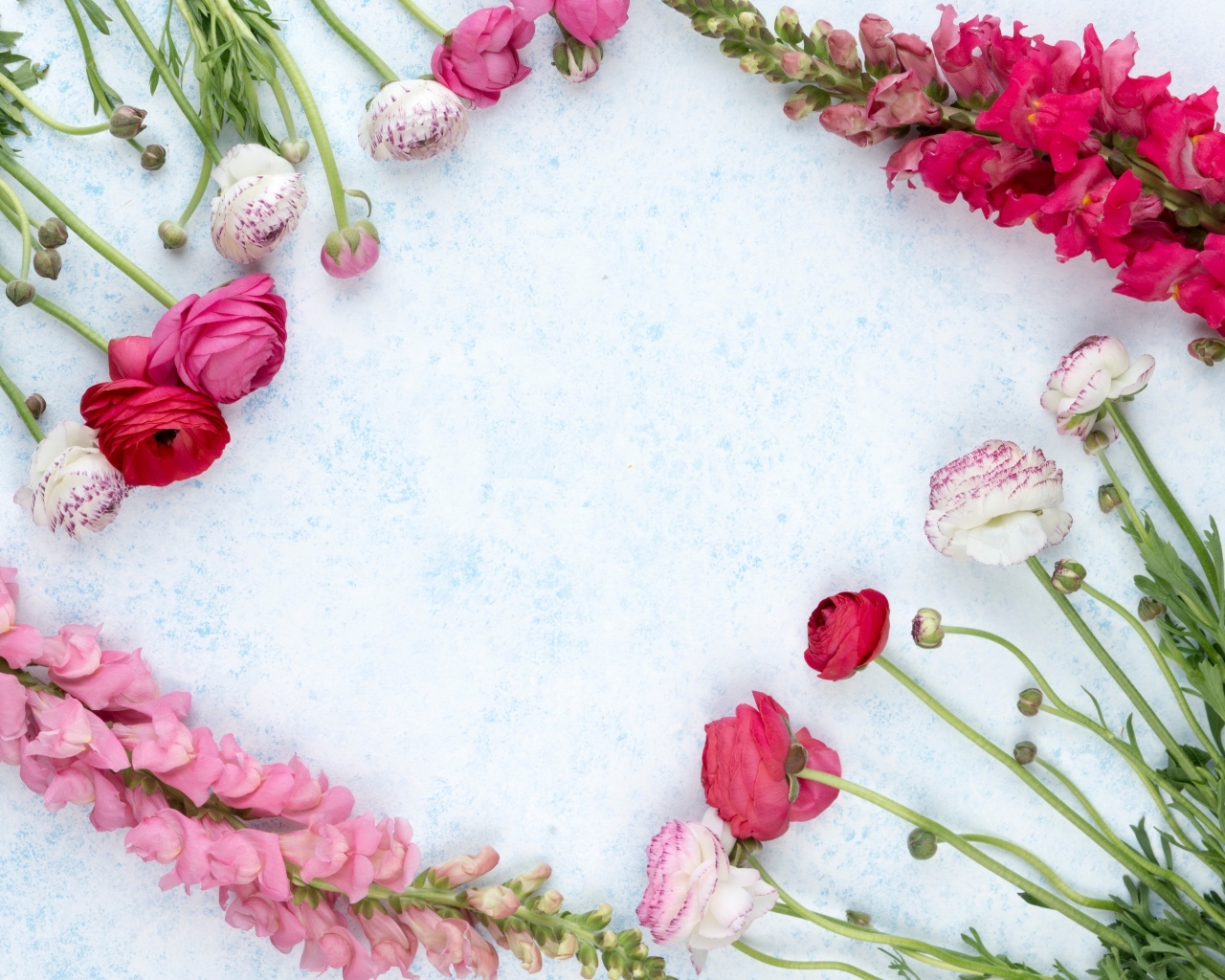 Лютики и цветы антирринум на голубом фоне