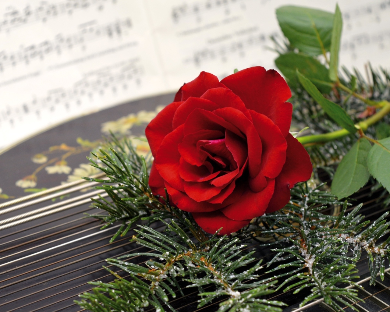 Красная роза с еловыми ветками на нотах 