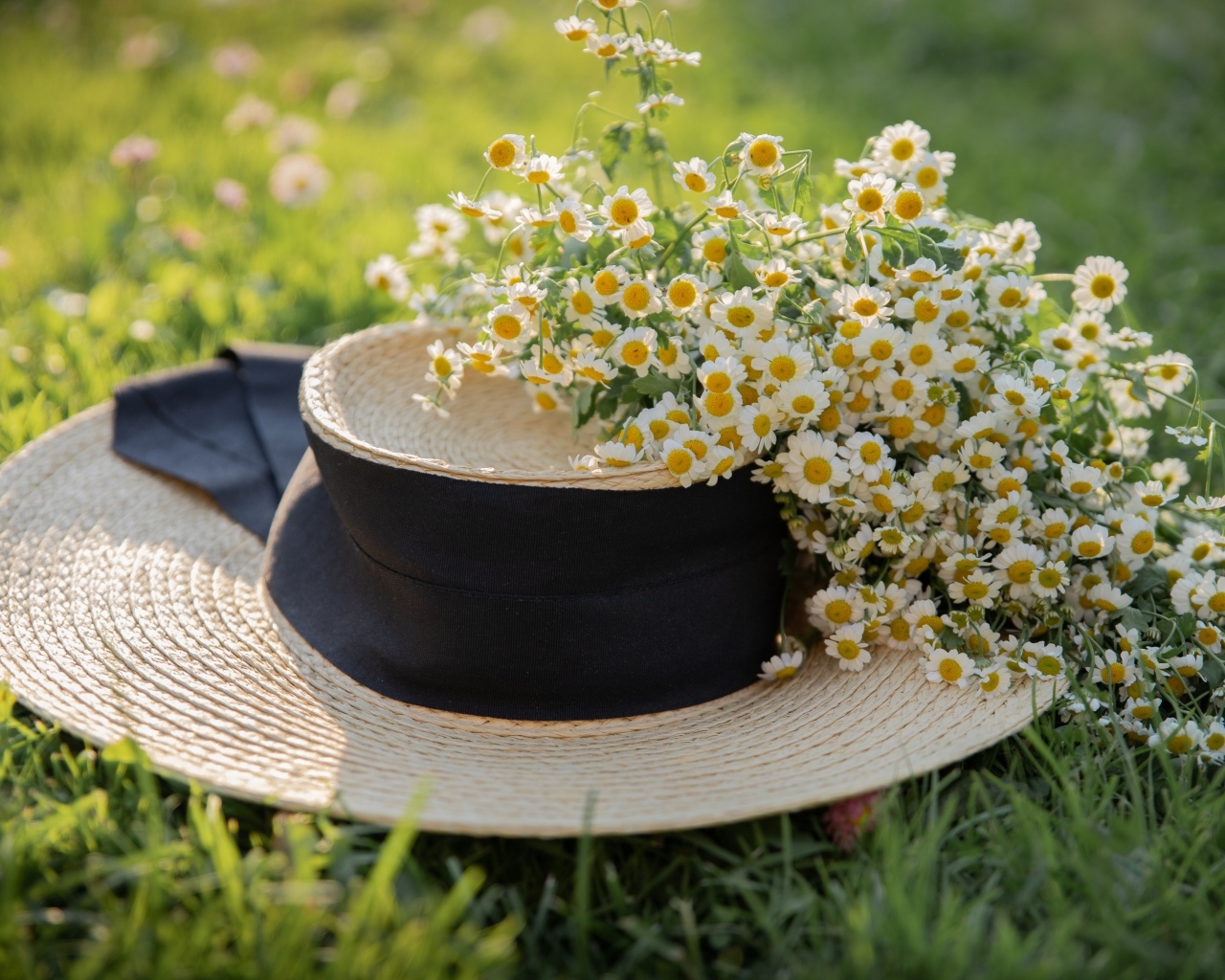 Соломенная шляпа на траве с цветами ромашки