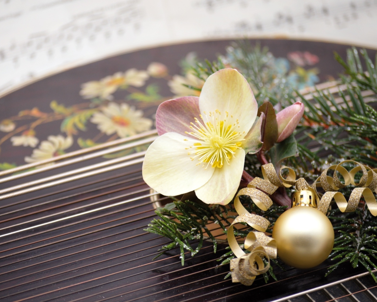 Цветок лежит на музыкальном инструменте