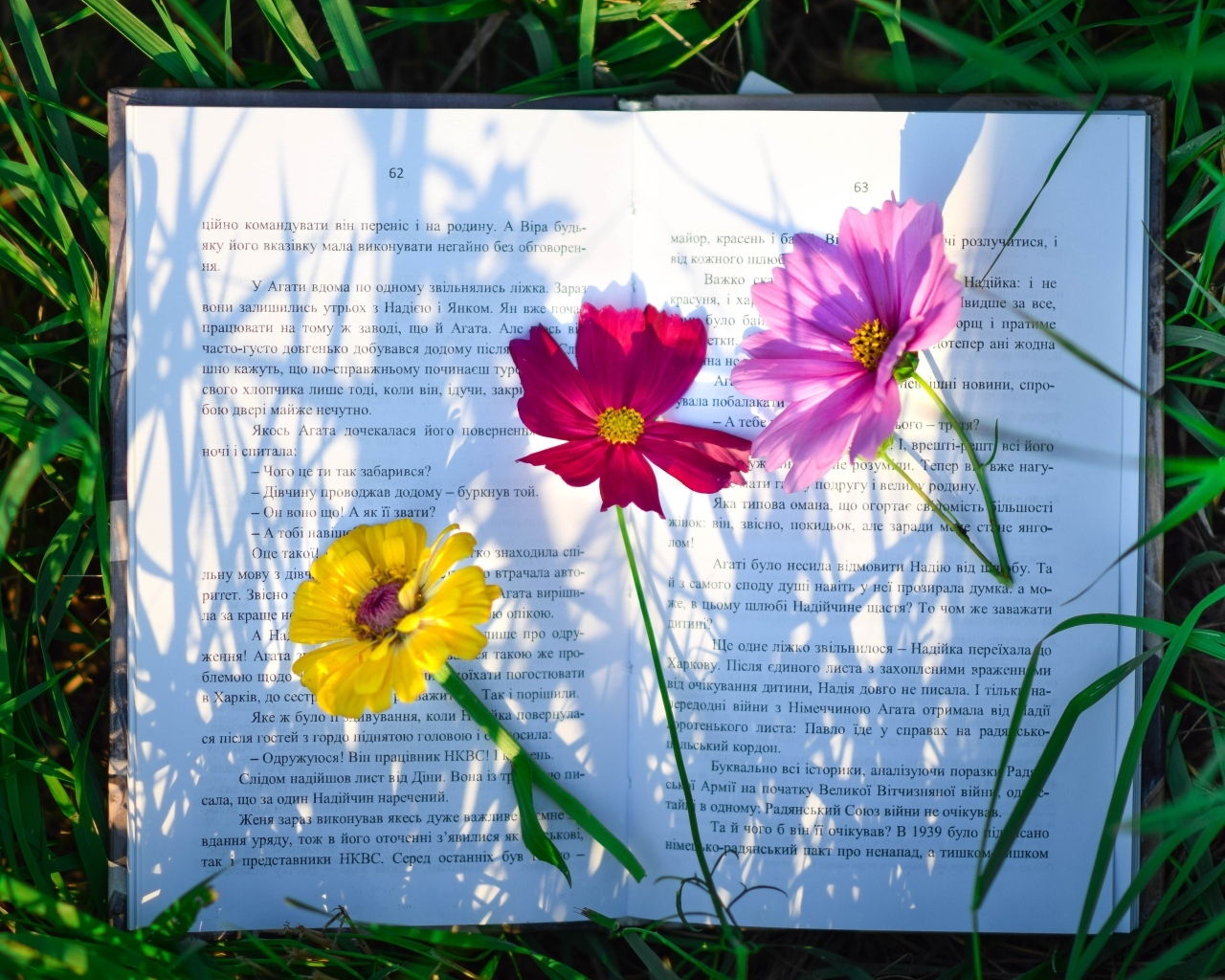 Три цветка лежат на книге в траве
