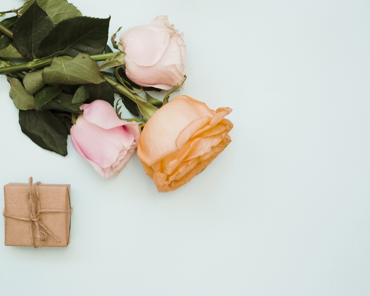 Три розы и подарок на сером фоне