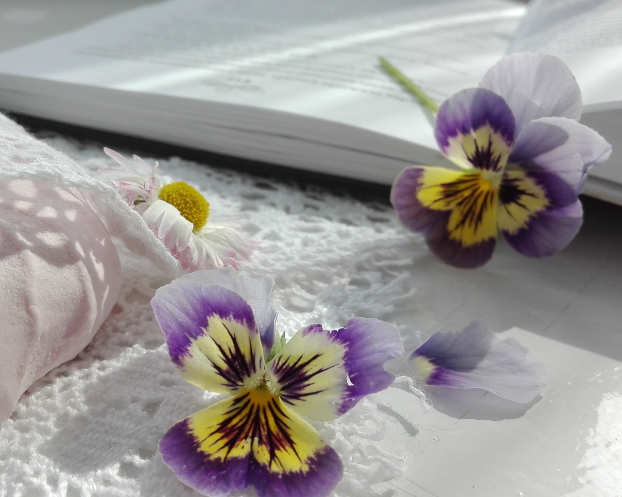 Два цветка анютины глазки с книгой и зефиром