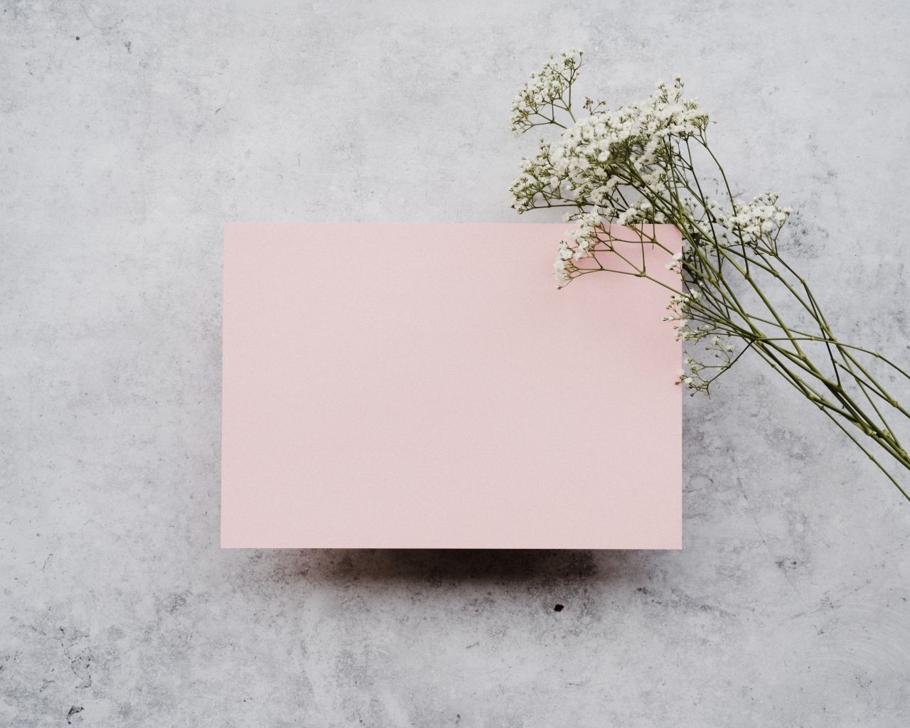 Белые цветы и лист розовой бумаги на сером фоне
