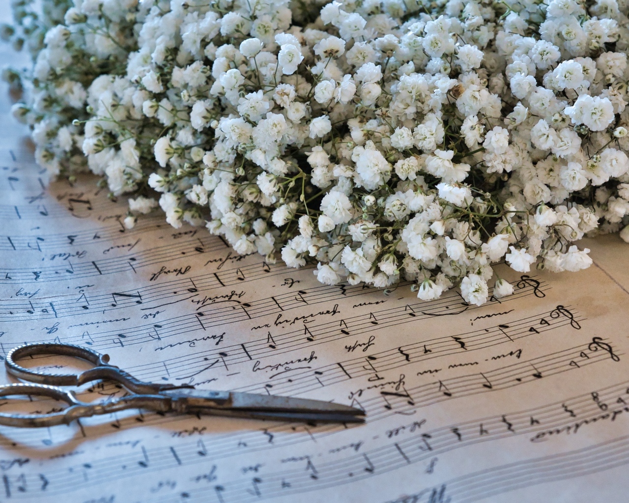 Белые цветы гипсофилы с ножницами и нотной тетрадью
