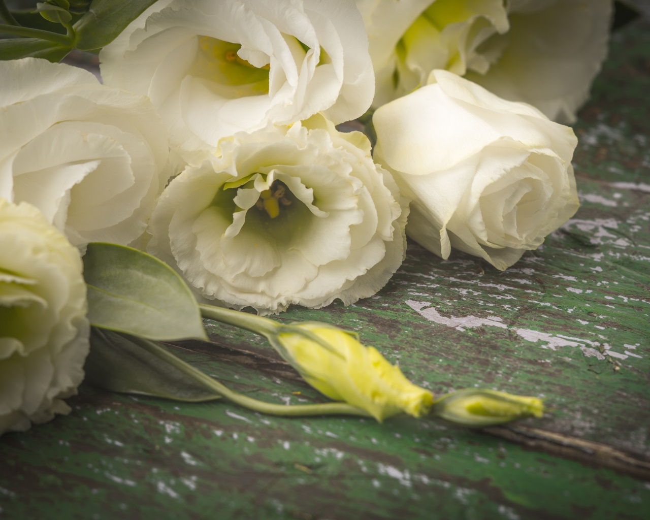 Белые розы и цветы эустомы на столе