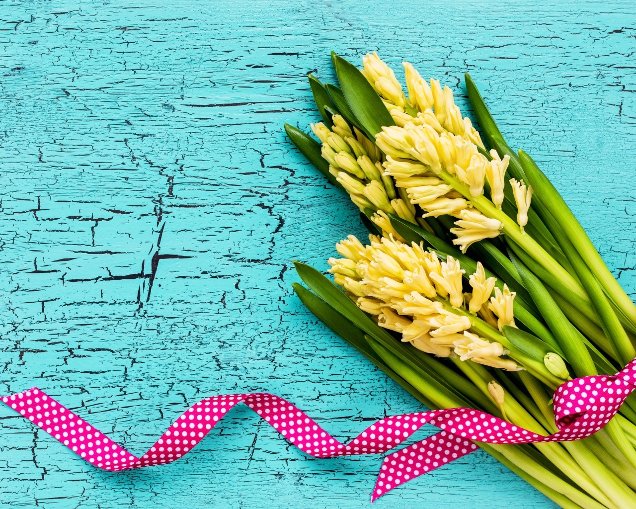 Желтые гиацинты с лентой на голубом фоне