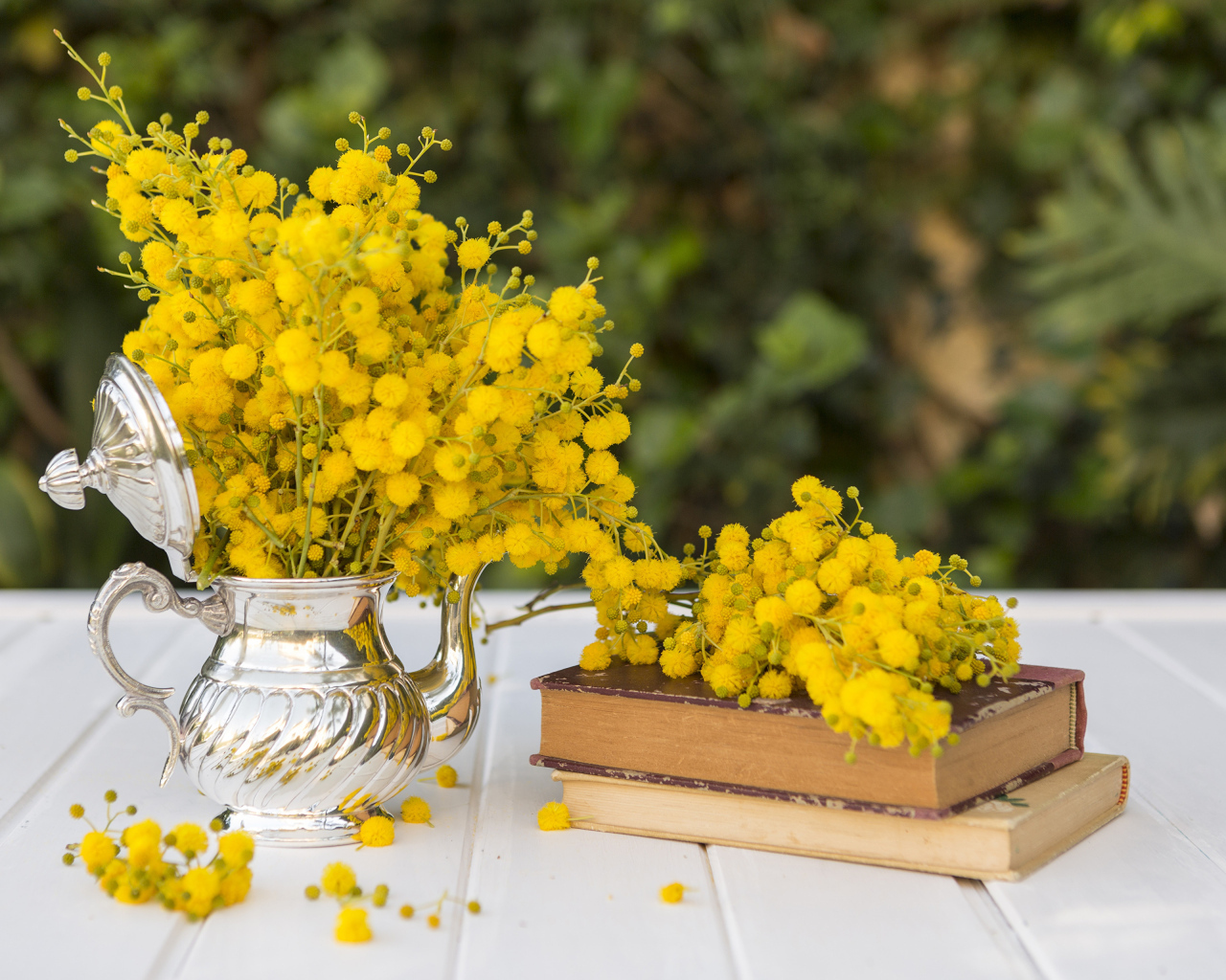 Желтые цветы мимозы на столе с книгами