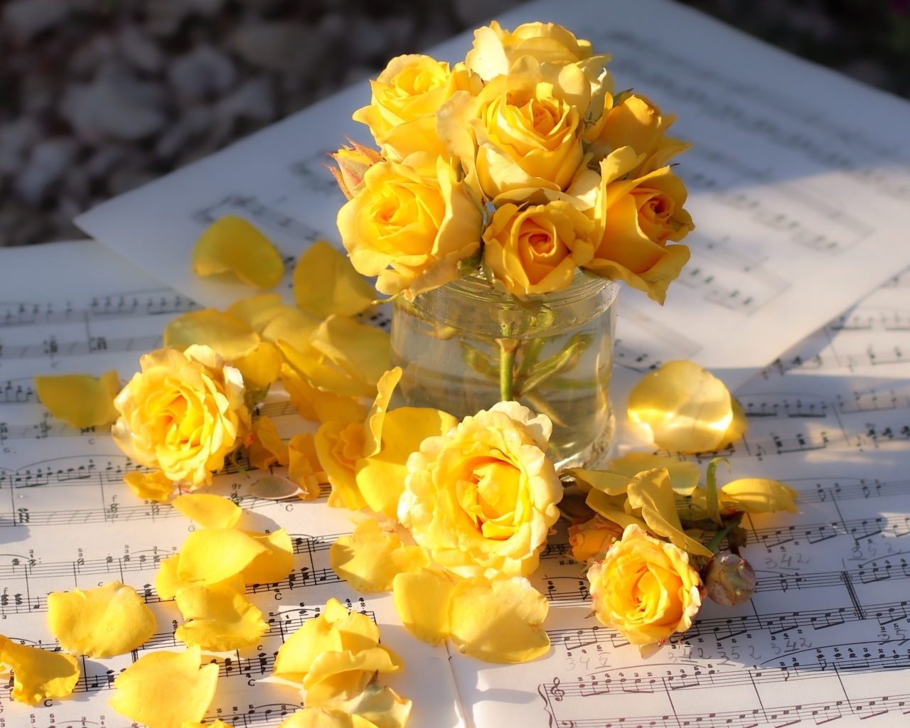 Желтые розы на нотных листах в лучах солнца