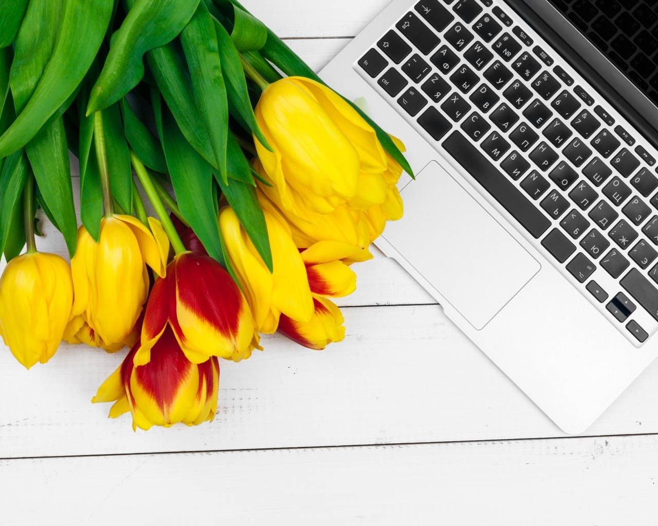 Желтые тюльпаны с ноутбуком на столе