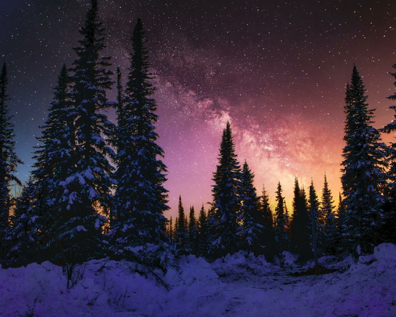 Красивое небо над хвойным лесом зимней ночью