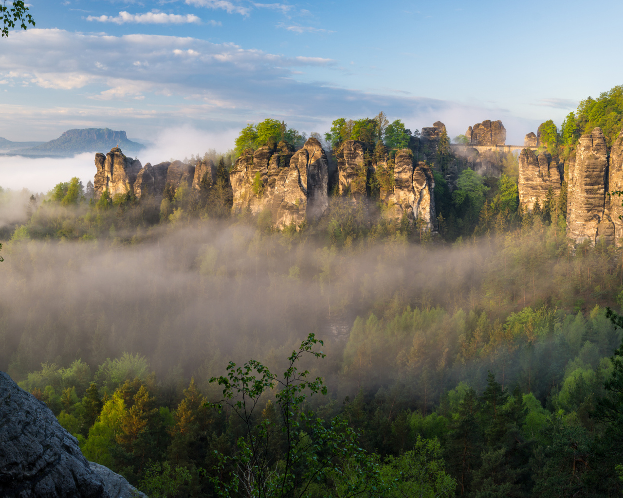 Туман над лесом в горном ущелье