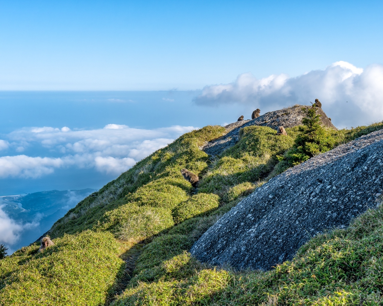 Высокие покрытые зеленью горы выше облаков