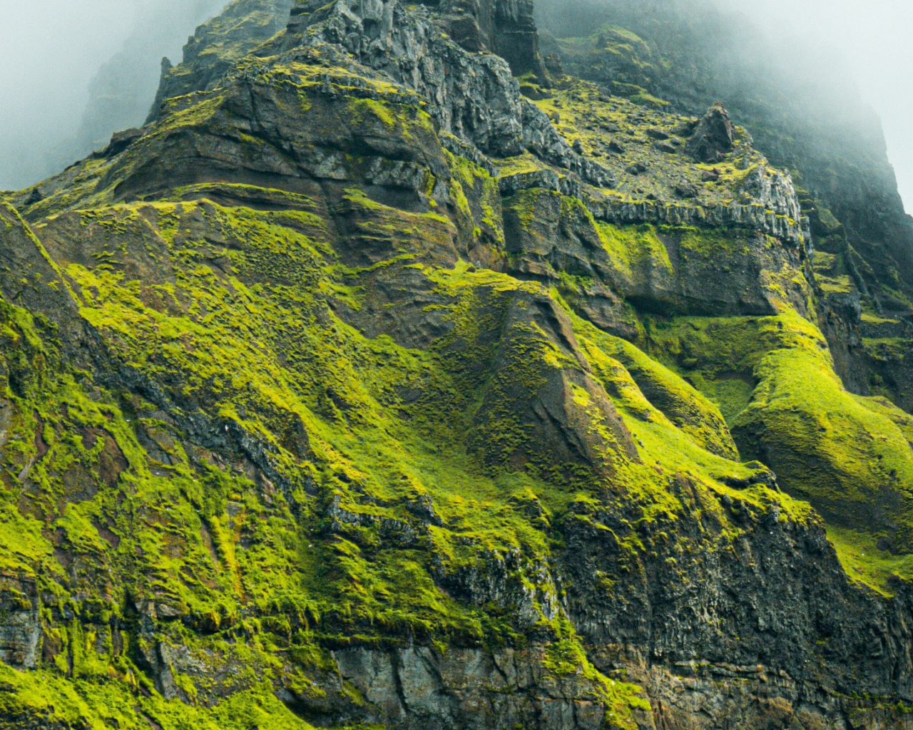 Высокая гора покрыта зеленой растительностью