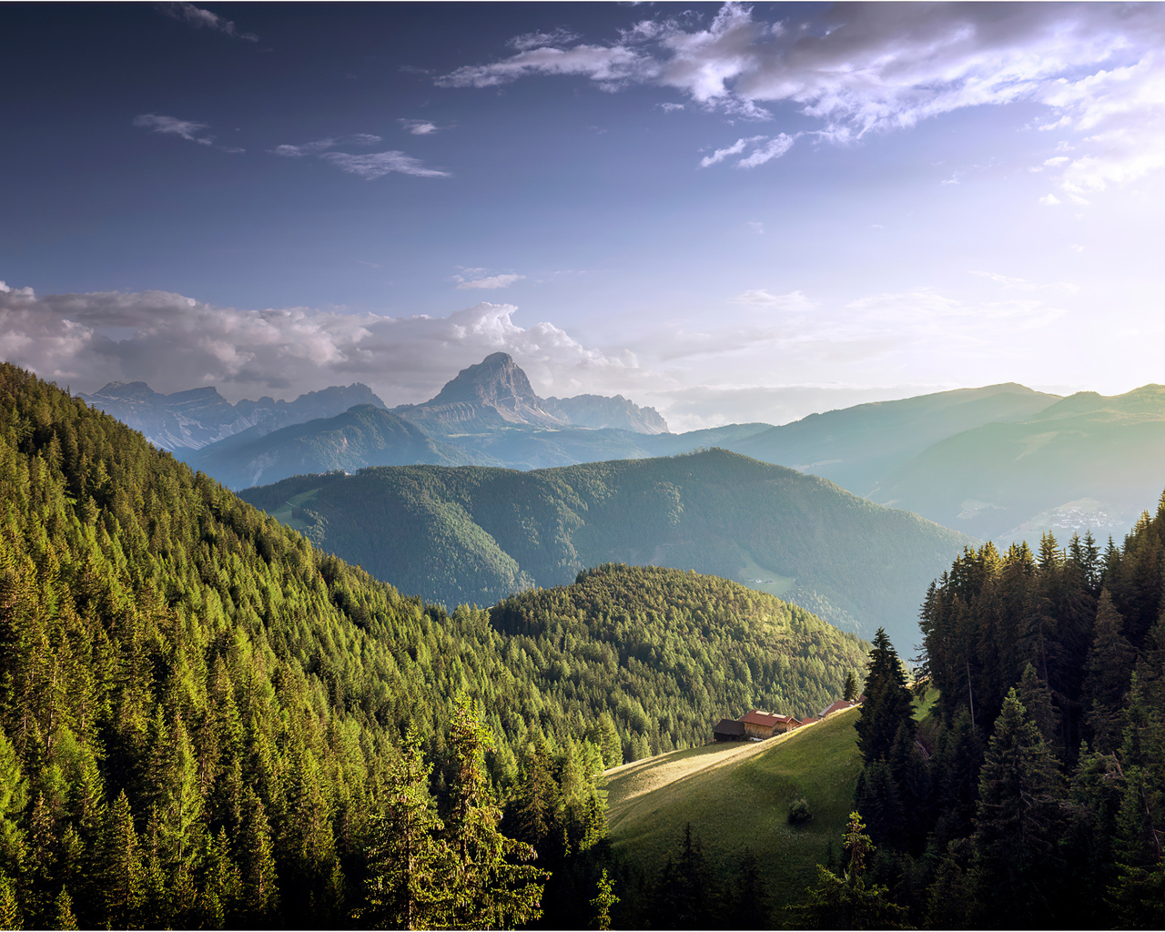 Большие покрытые густым лесом горы