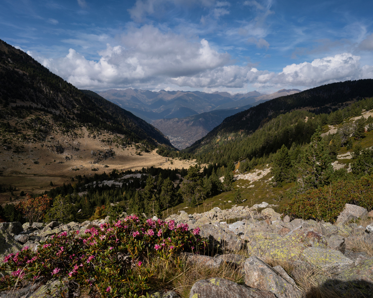 Покрытые зелеными деревьями горы под красивым небом