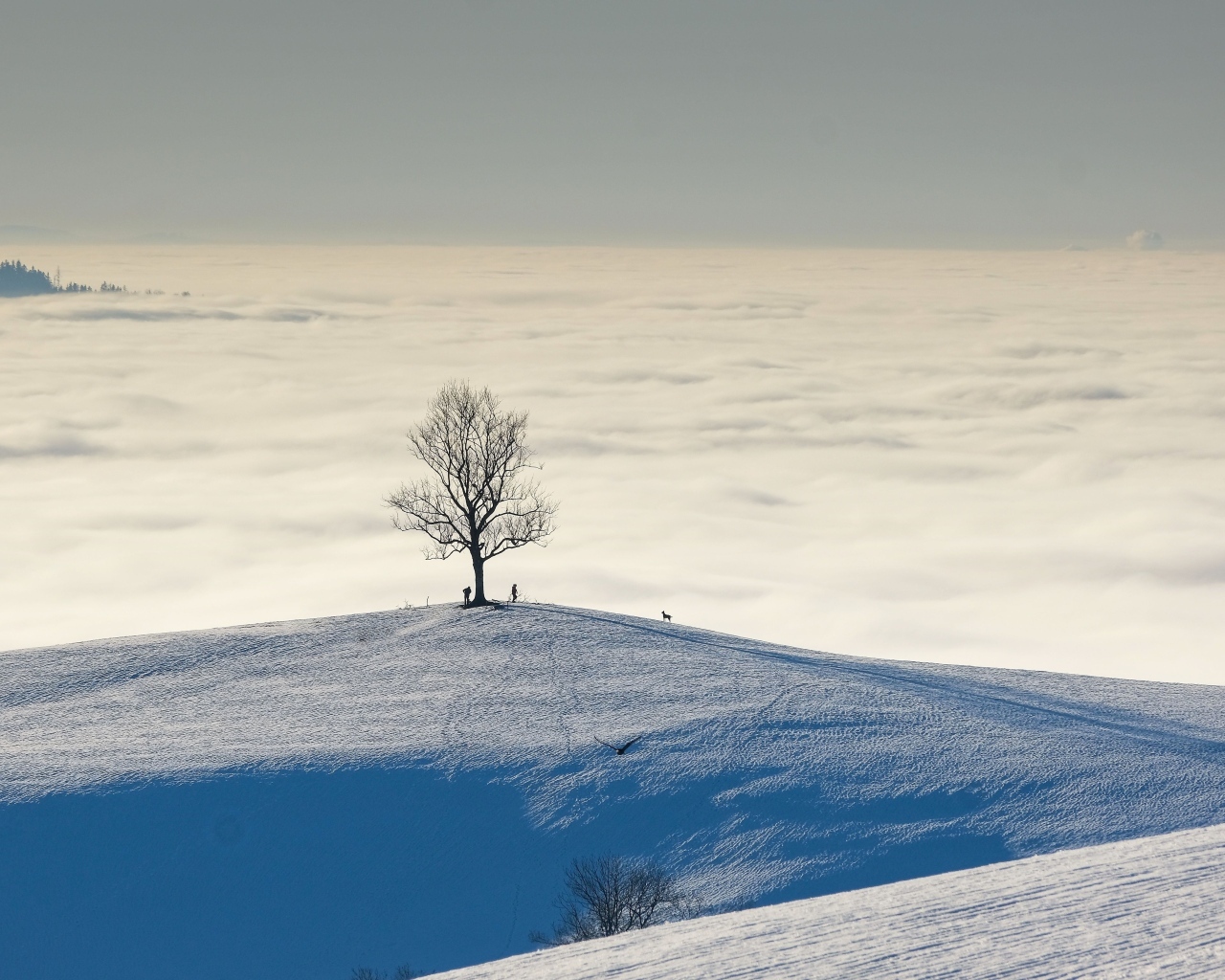 Густые белые облака в заснеженных горах