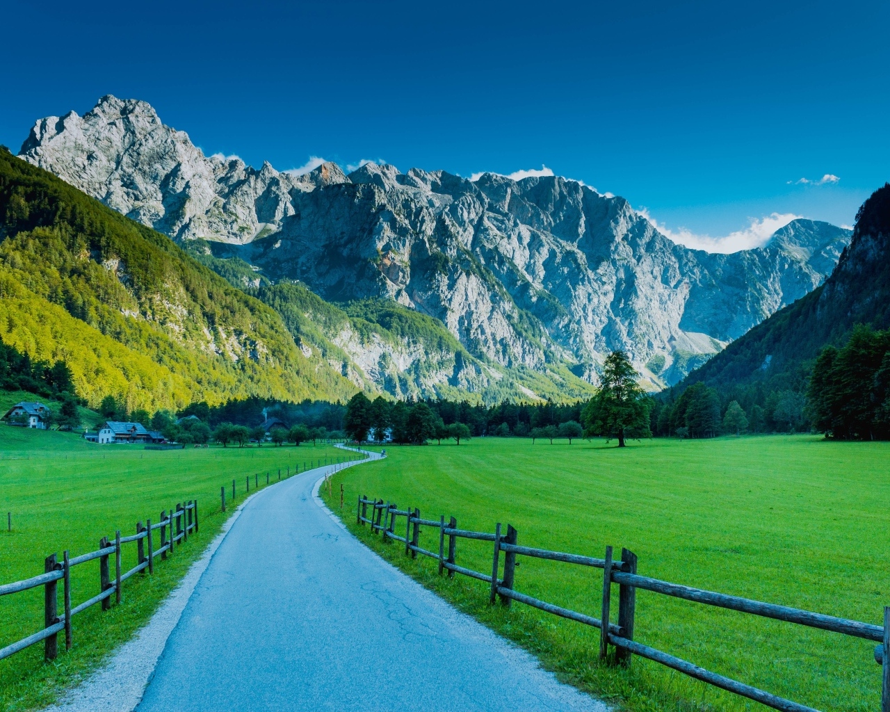 Вид на Альпы в Логарской  долине