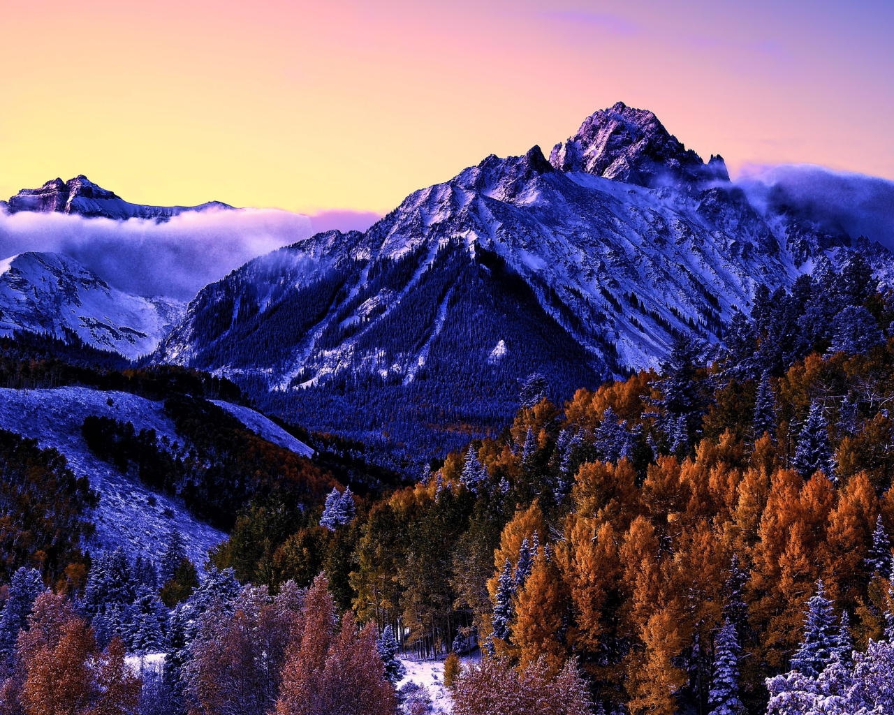 Вид на заснеженную гору и лес