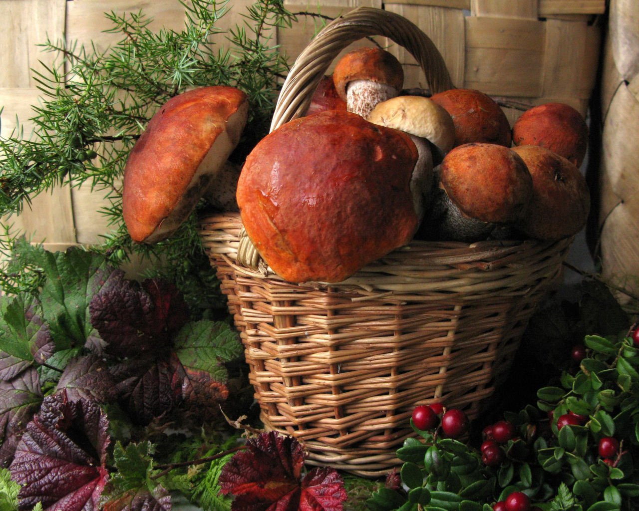 Корзина больших белых грибов