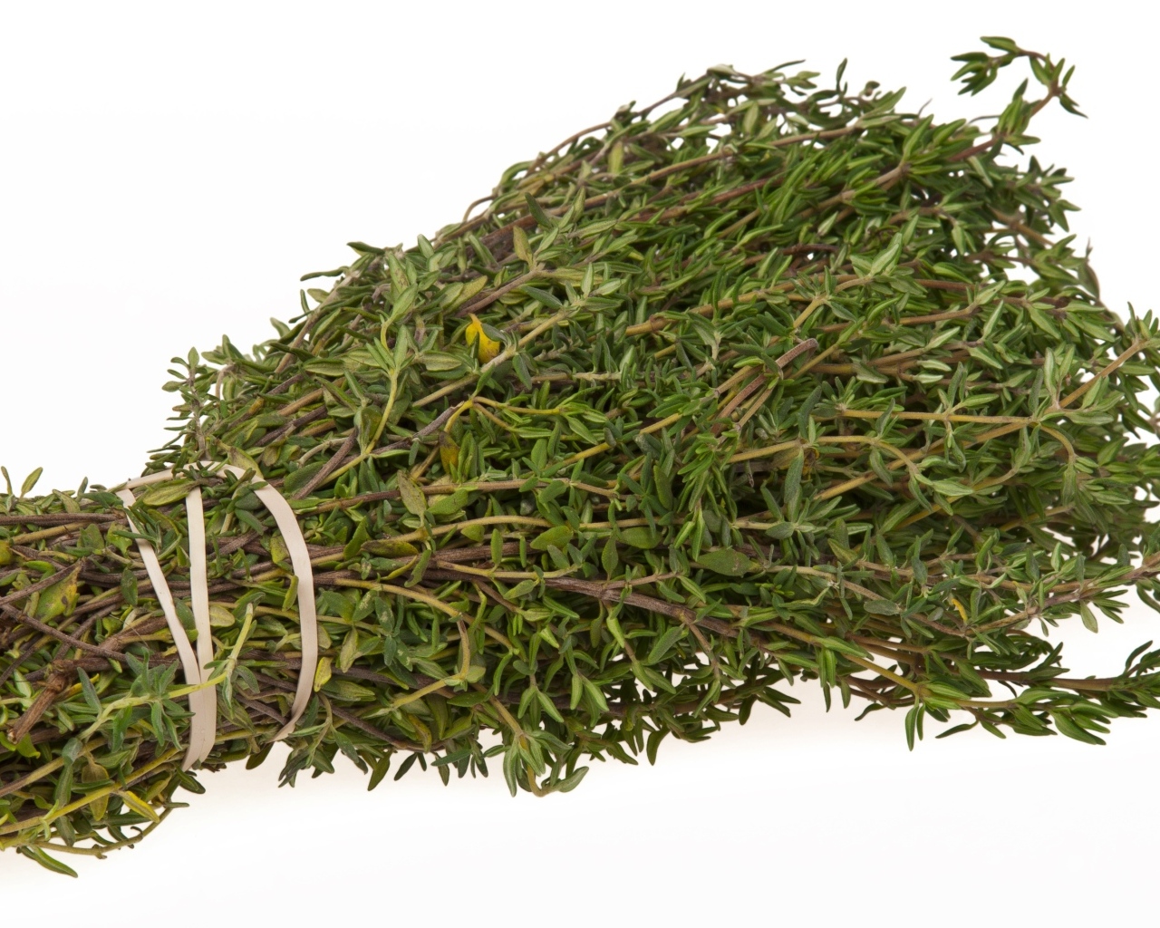 Пучок листьев розмарина на белом фоне