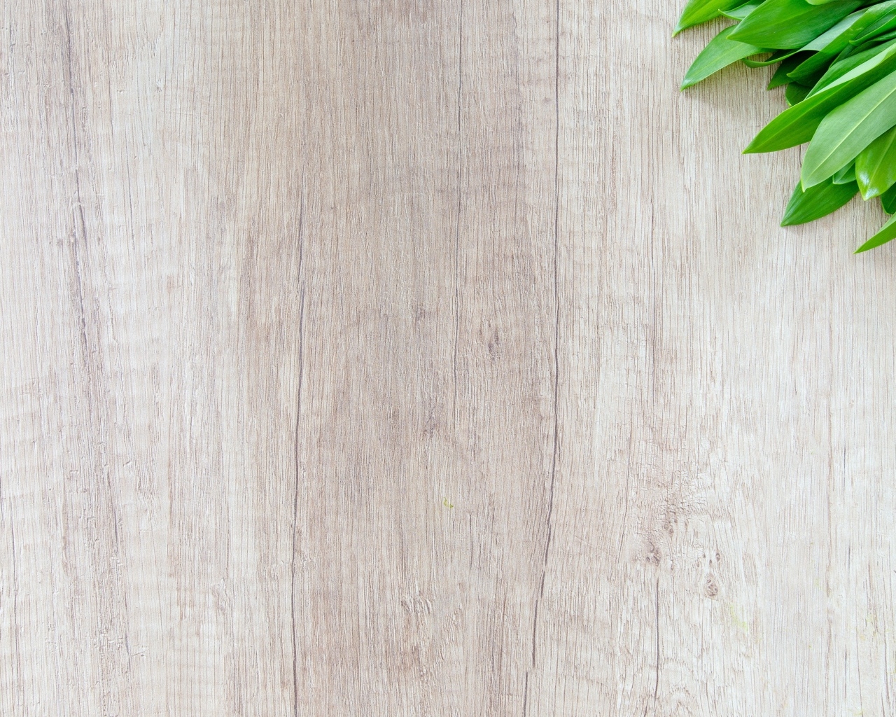 Зеленые листья на деревянном фоне