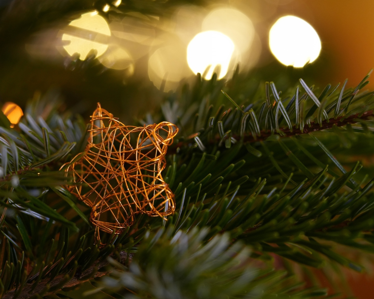 Звезда лежит на зеленой еловой ветке