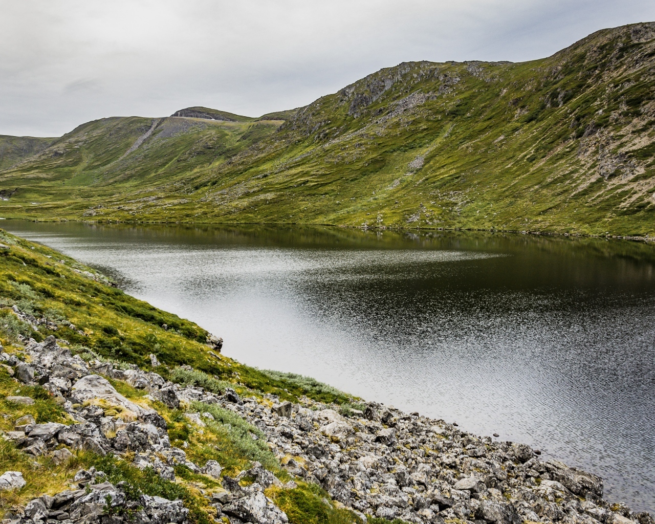Спокойная река у покрытых зеленью холмов