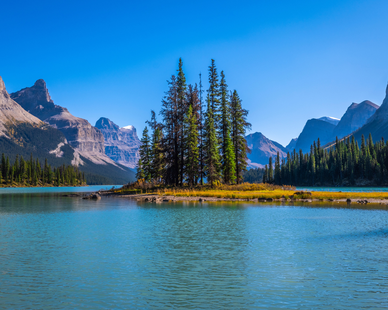 Остров с высокими елями посреди горного озера