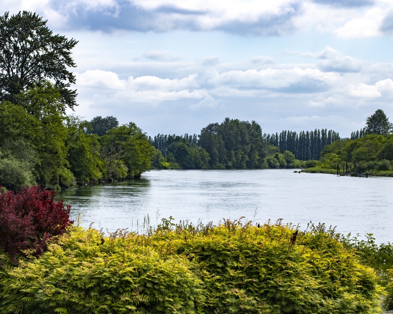 Озеро с покрытыми деревьями берегами